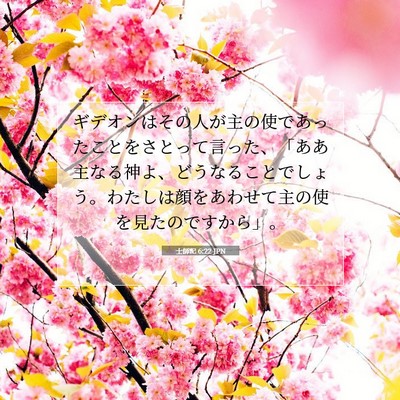 士師記 6:22 聖書の一節の解説