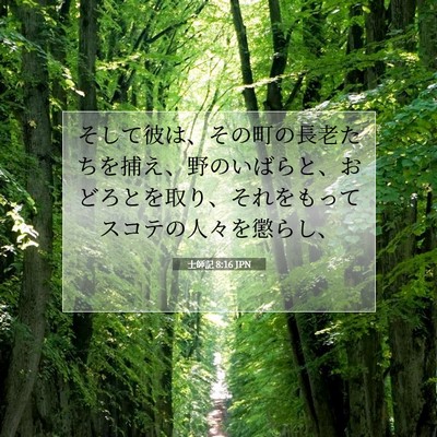 士師記 8:16 聖書の一節の解説