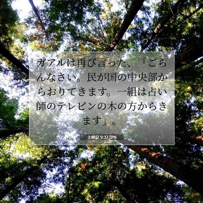 士師記 9:37 聖書の一節の解説