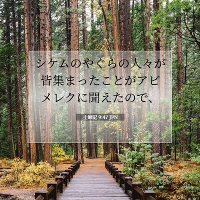 士師記 9:47 聖書の一節の解説