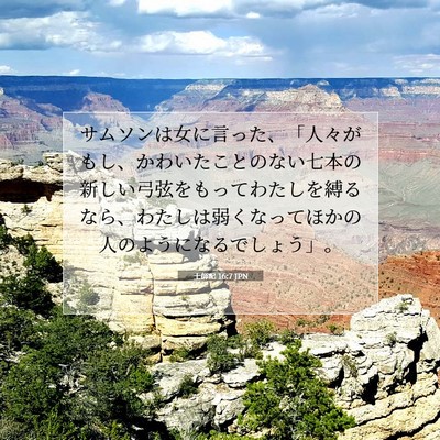 士師記 16:7 聖書の一節の解説