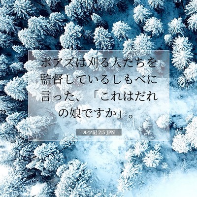 ルツ記 2:5 聖書の一節の解説