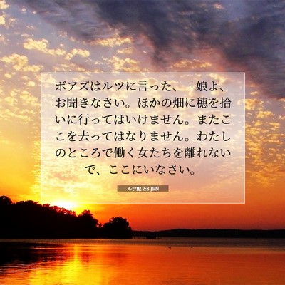 ルツ記 2:8 聖書の一節の解説