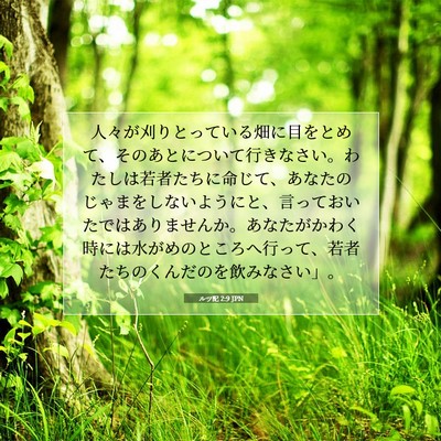 ルツ記 2:9 聖書の一節の解説