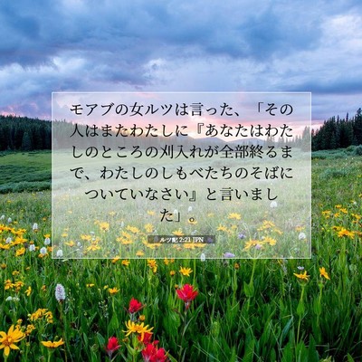 ルツ記 2:21 聖書の一節の解説