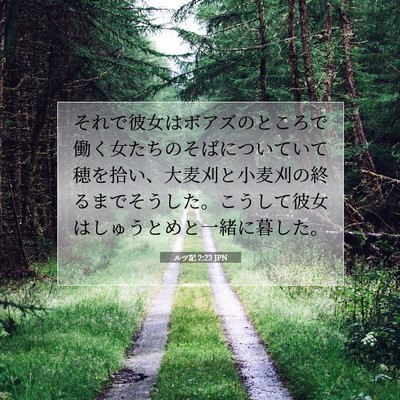 ルツ記 2:23 聖書の一節の解説