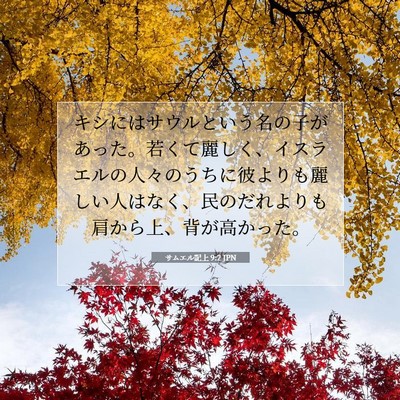 サムエル記上 9:2 聖書の一節の解説