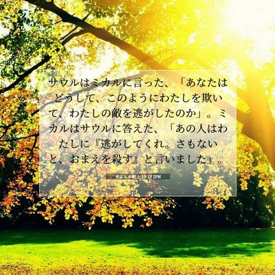 サムエル記上 19:17 聖書の一節の解説