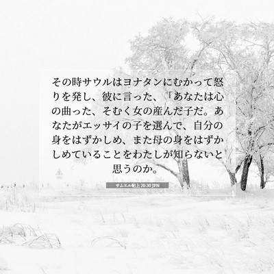 サムエル記上 20:30 聖書の一節の解説