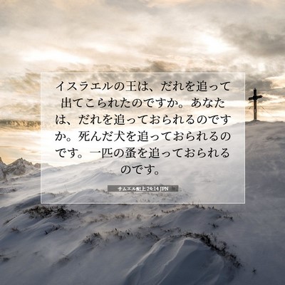 サムエル記上 24:14 聖書の一節の解説
