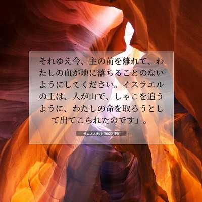サムエル記上 26:20 聖書の一節の解説