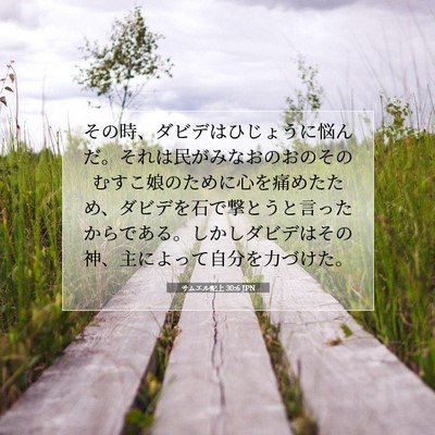 サムエル記上 30:6 聖書の一節の解説