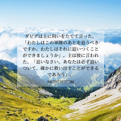 サムエル記上 30:8 聖書の一節の解説