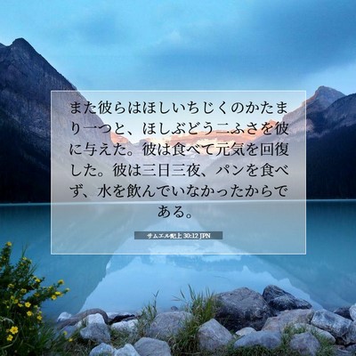 サムエル記上 30:12 聖書の一節の解説