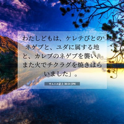 サムエル記上 30:14 聖書の一節の解説