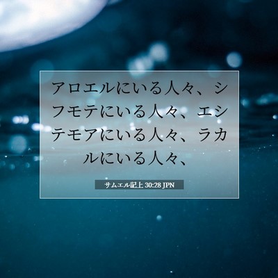 サムエル記上 30:28 聖書の一節の解説
