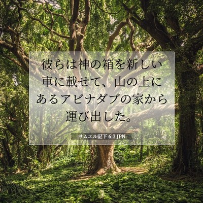 サムエル記下 6:3 聖書の一節の解説