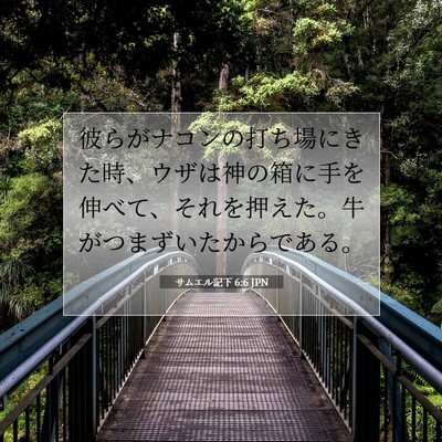 サムエル記下 6:6 聖書の一節の解説