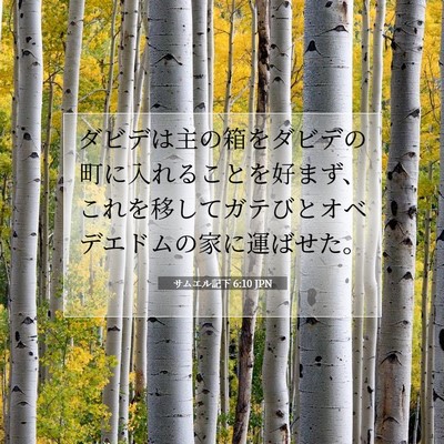サムエル記下 6:10 聖書の一節の解説
