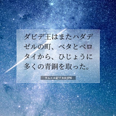 サムエル記下 8:8 聖書の一節の解説