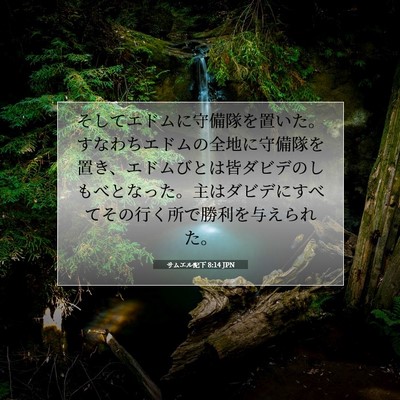 サムエル記下 8:14 聖書の一節の解説