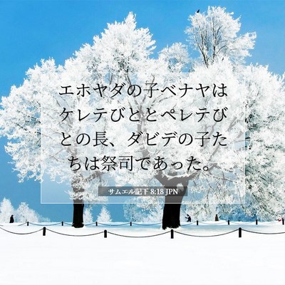 サムエル記下 8:18 聖書の一節の解説