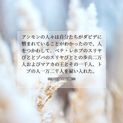 サムエル記下 10:6 聖書の一節の解説