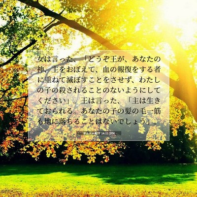 サムエル記下 14:11 JPN 聖書の一節の画像
