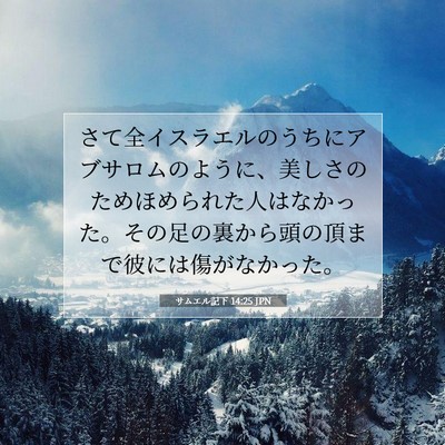 サムエル記下 14:25 JPN 聖書の一節の画像
