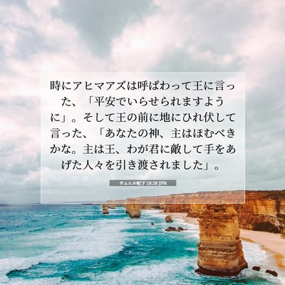 サムエル記下 18:28 聖書の一節の解説