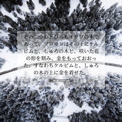 列王紀上 6:32 聖書の一節の解説