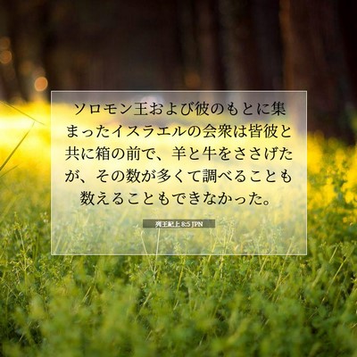 列王紀上 8:5 聖書の一節の解説