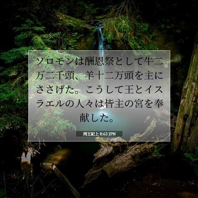 列王紀上 8:63 聖書の一節の解説