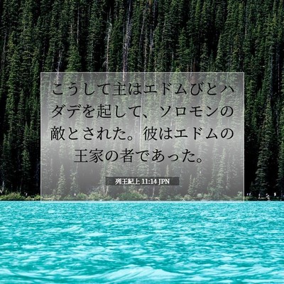 列王紀上 11:14 聖書の一節の解説