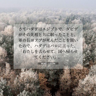 列王紀上 11:21 聖書の一節の解説