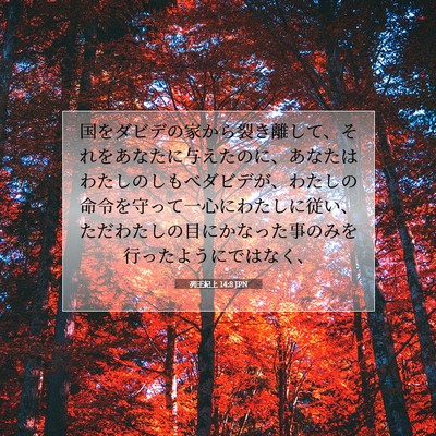 列王紀上 14:8 聖書の一節の解説