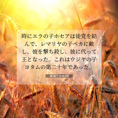 列王紀下 15:30 聖書の一節の解説