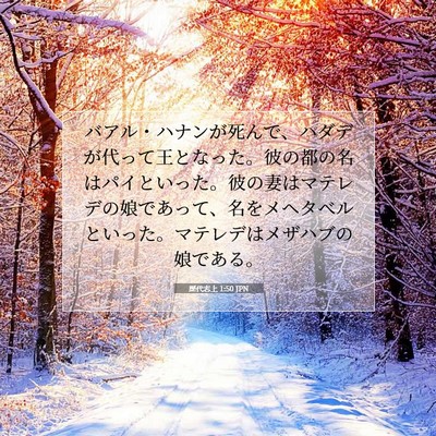 歴代志上 1:50 聖書の一節の解説