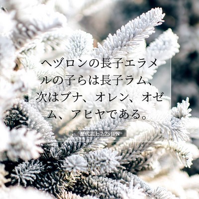 歴代志上 2:25 聖書の一節の解説