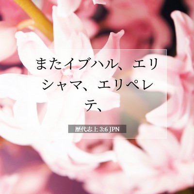 歴代志上 3:6 聖書の一節の解説