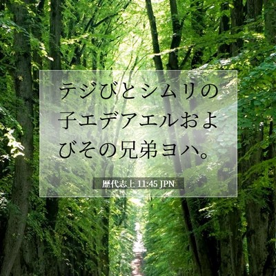 歴代志上 11:45 聖書の一節の解説