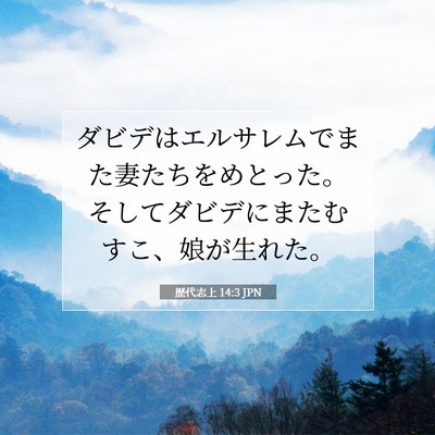 歴代志上 14:3 聖書の一節の解説
