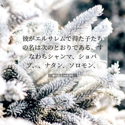 歴代志上 14:4 聖書の一節の解説
