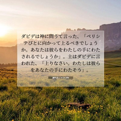 歴代志上 14:10 聖書の一節の解説