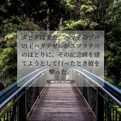 歴代志上 18:3 JPN 聖書の一節の画像