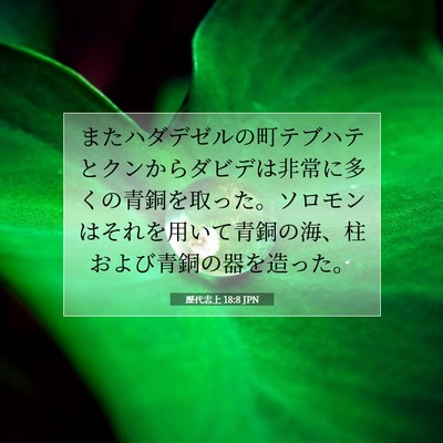歴代志上 18:8 聖書の一節の解説
