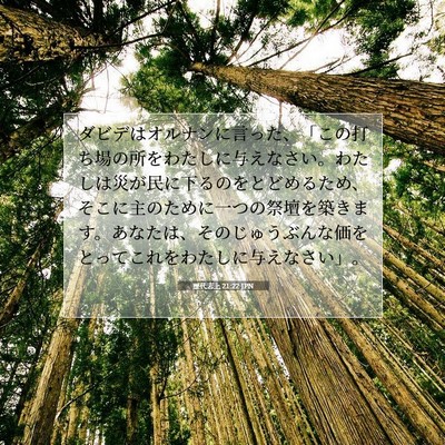 歴代志上 21:22 聖書の一節の解説