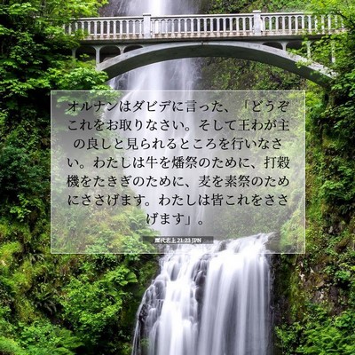 歴代志上 21:23 聖書の一節の解説