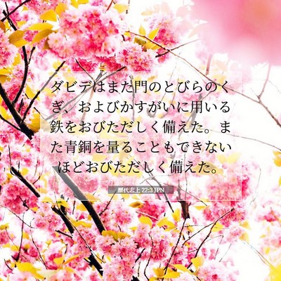 歴代志上 22:3 聖書の一節の解説