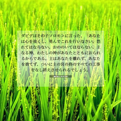 歴代志上 28:20 聖書の一節の解説